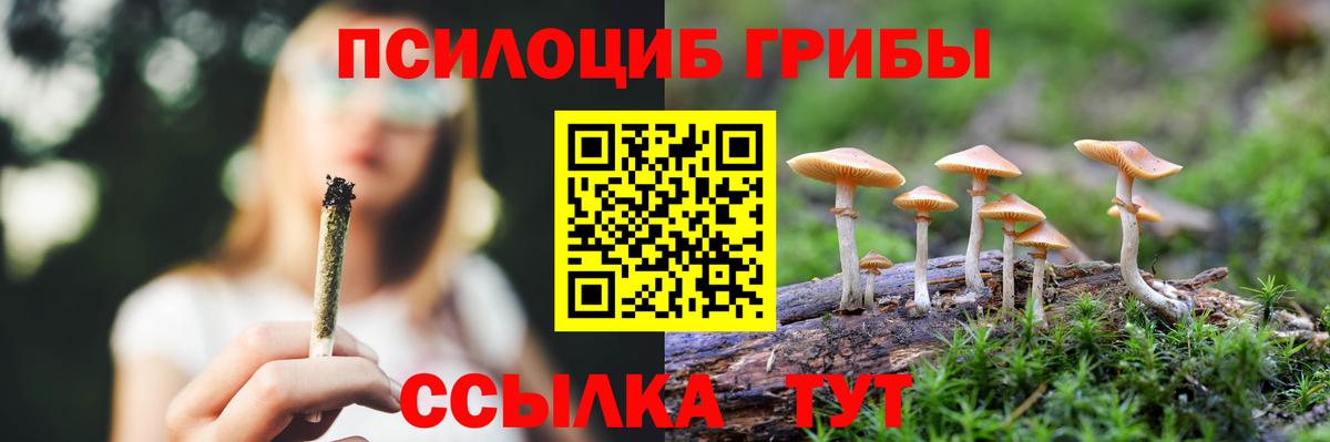 Псилоцибиновые грибы Psilocybine cubensis  Вход с VPN  Псилоцибиновые грибы мицелий  Донской 